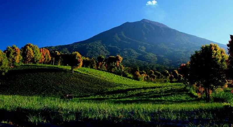 Taman Nasional Indonesia yang Masuk Situs Warisan UNESCO